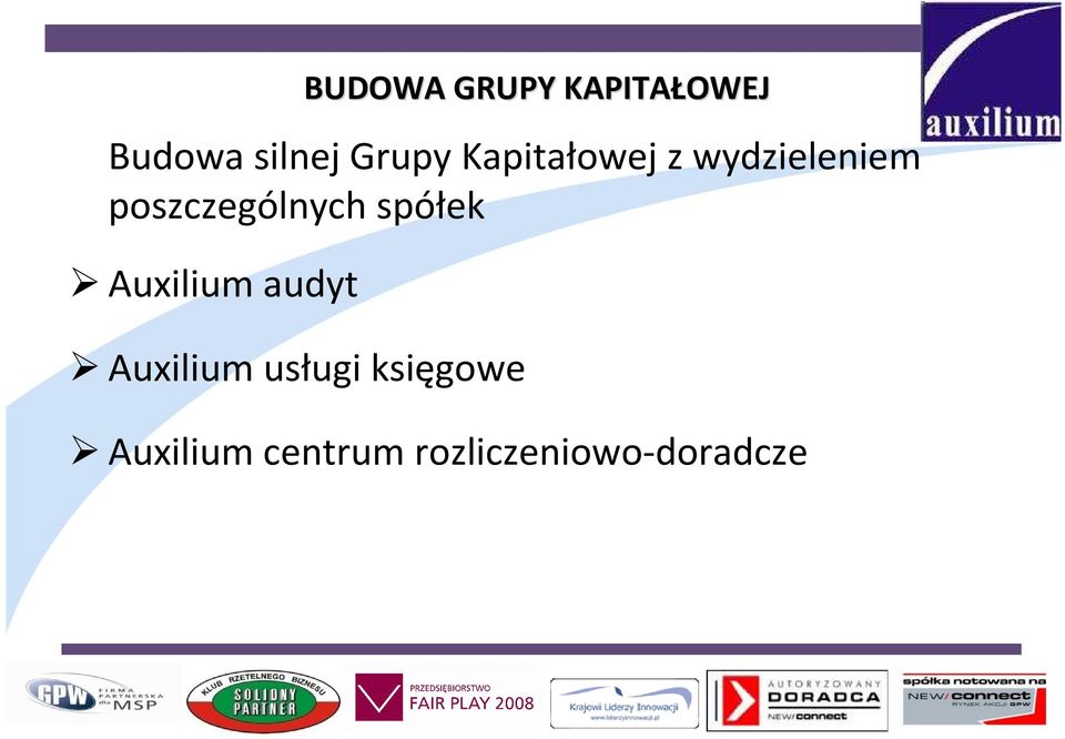 poszczególnych spółek Auxilium audyt