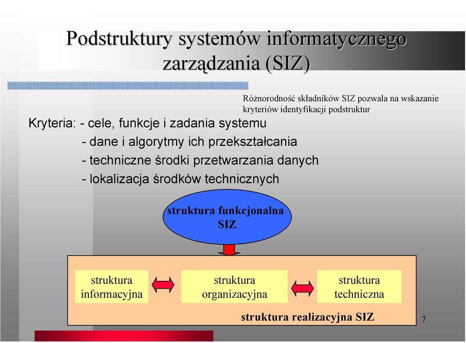technicznych struktura funkcjonalna SIZ Różnorodność składników SIZ pozwala na wskazanie kryteriów
