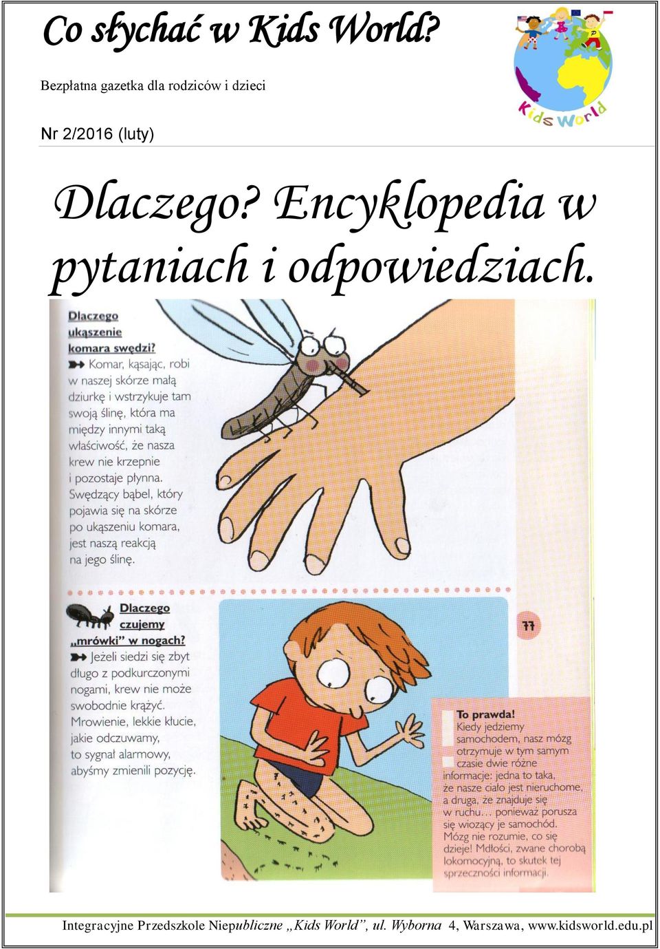 w pytaniach