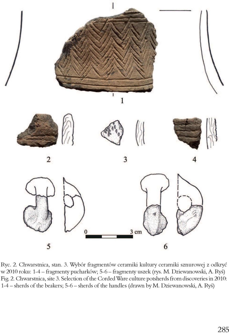 pucharków; 5-6 fragmenty uszek (rys. M. Dziewanowski, A. Ryś) Fig. 2. Chwarstnica, site 3.