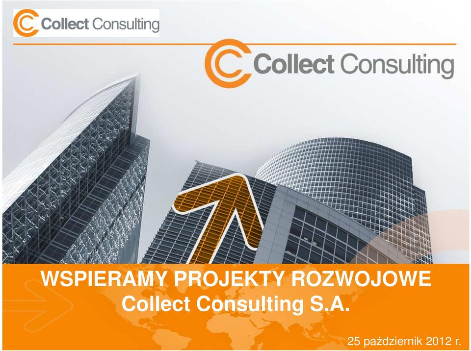 Consulting S.A.