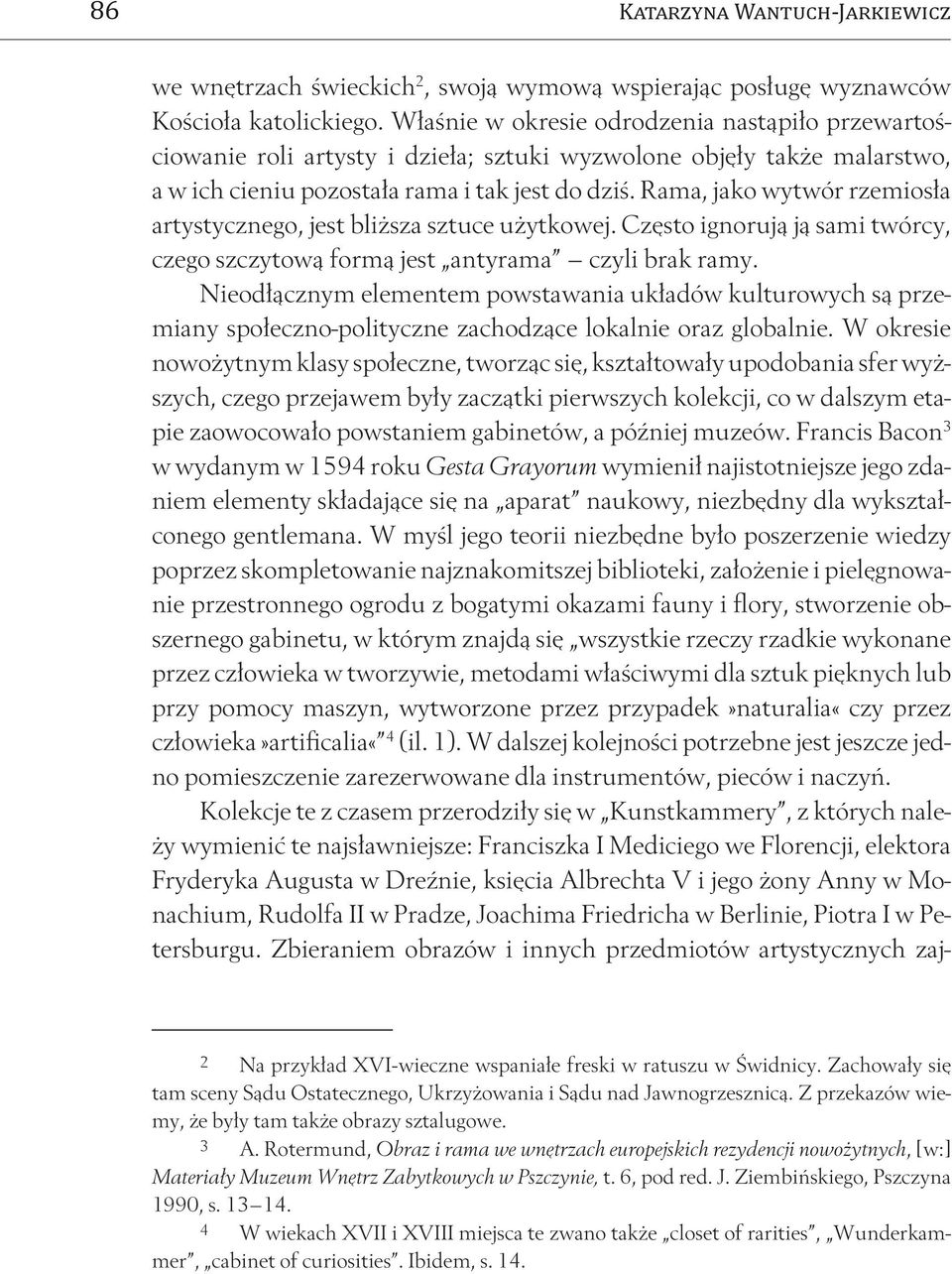 Rama, jako wytwór rzemiosła artystycznego, jest bliższa sztuce użytkowej. Często ignorują ją sami twórcy, czego szczytową formą jest antyrama czyli brak ramy.