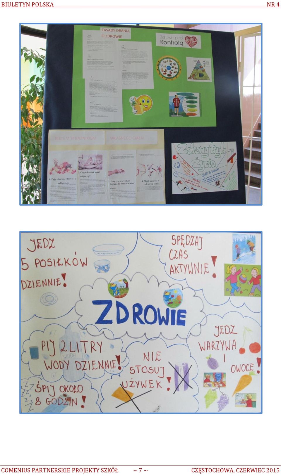 PROJEKTY SZKÓŁ ~