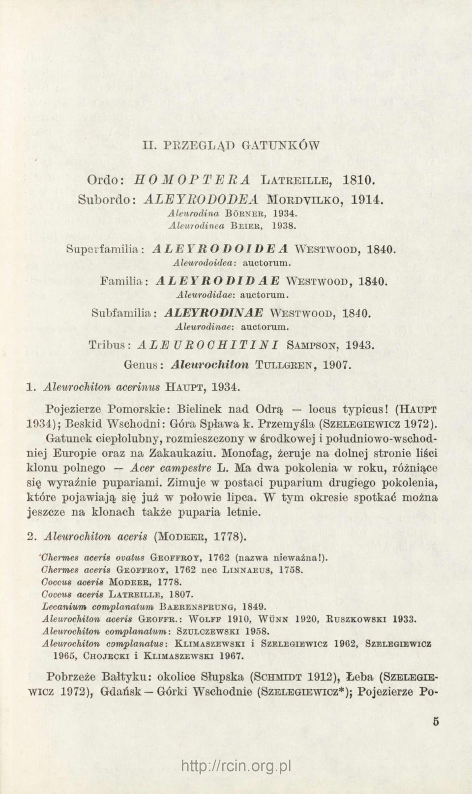 Aleurodinae: auctorum. Tribus : A L E U RO C H I T IN I S ampson, 1943. Genus : Aleurochiłon T u llg r en, 1907. 1. Aleurochiton acerinus H a u pt, 1934.