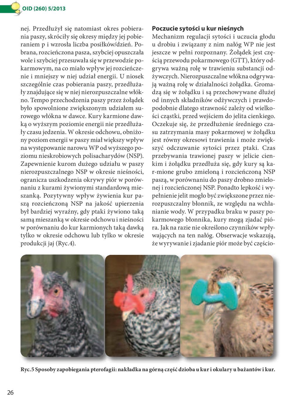 U niosek szczególnie czas pobierania paszy, przedłużały znajdujące się w niej nierozpuszczalne włókno.