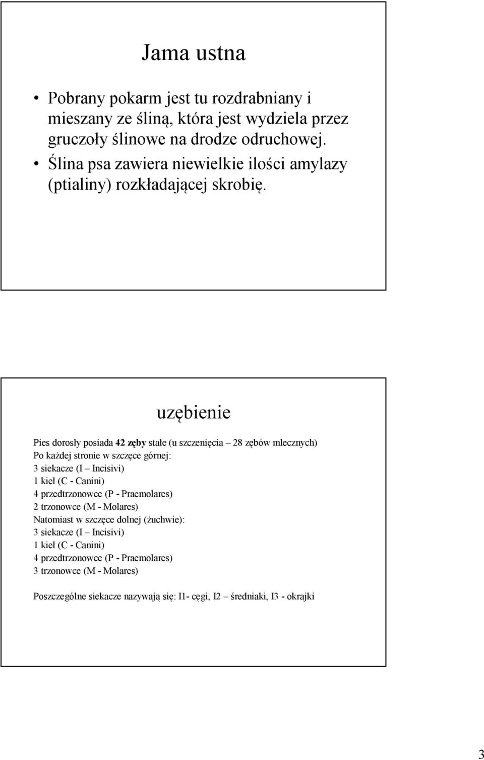 uzębienie Pies dorosły posiada 42 zęby stałe (u szczenięcia 28 zębów mlecznych) Po każdej stronie w szczęce górnej: 3 siekacze (I Incisivi) 1 kieł (C - Canini) 4