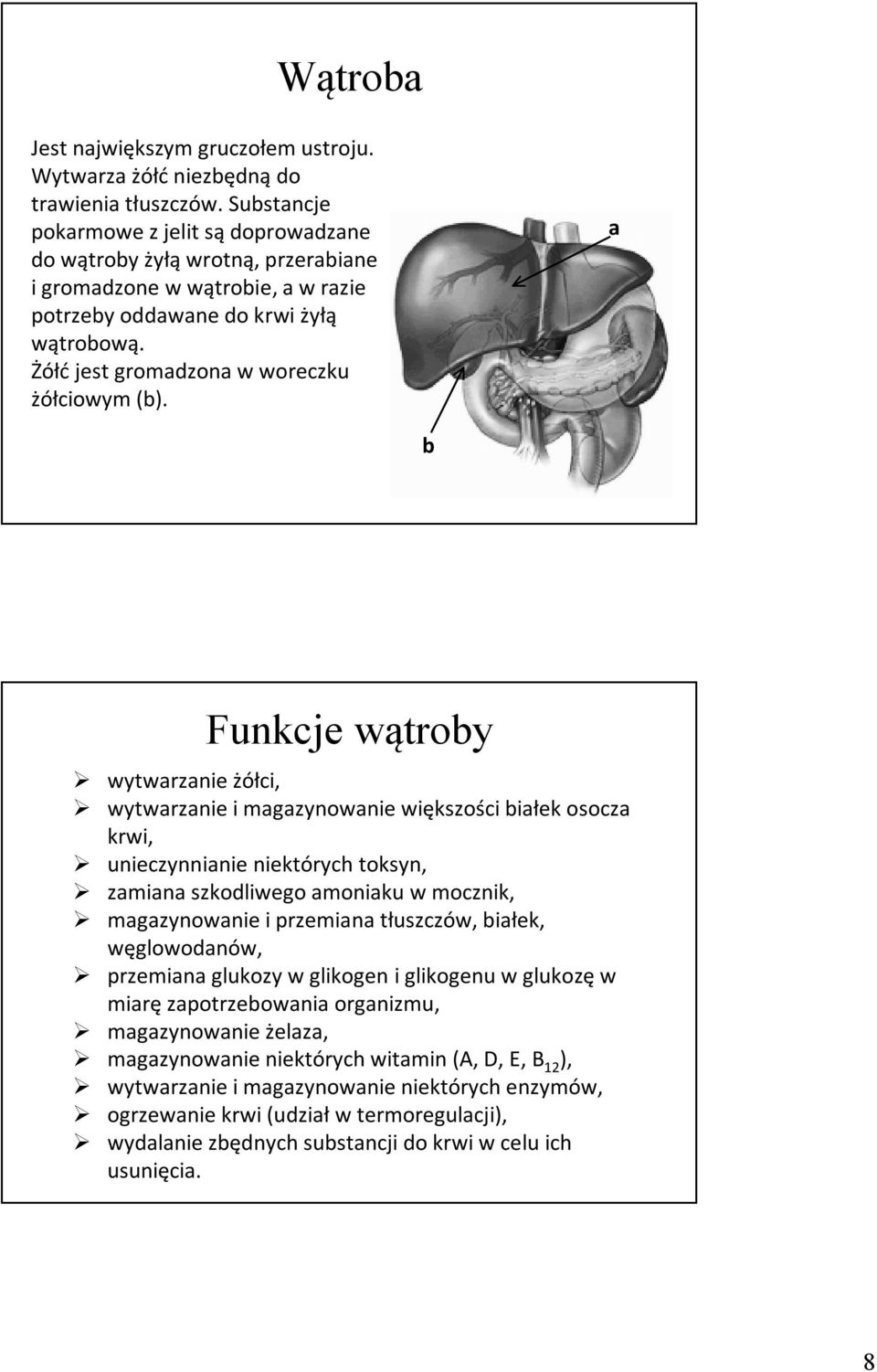 Żółć jest gromadzona w woreczku żółciowym (b).