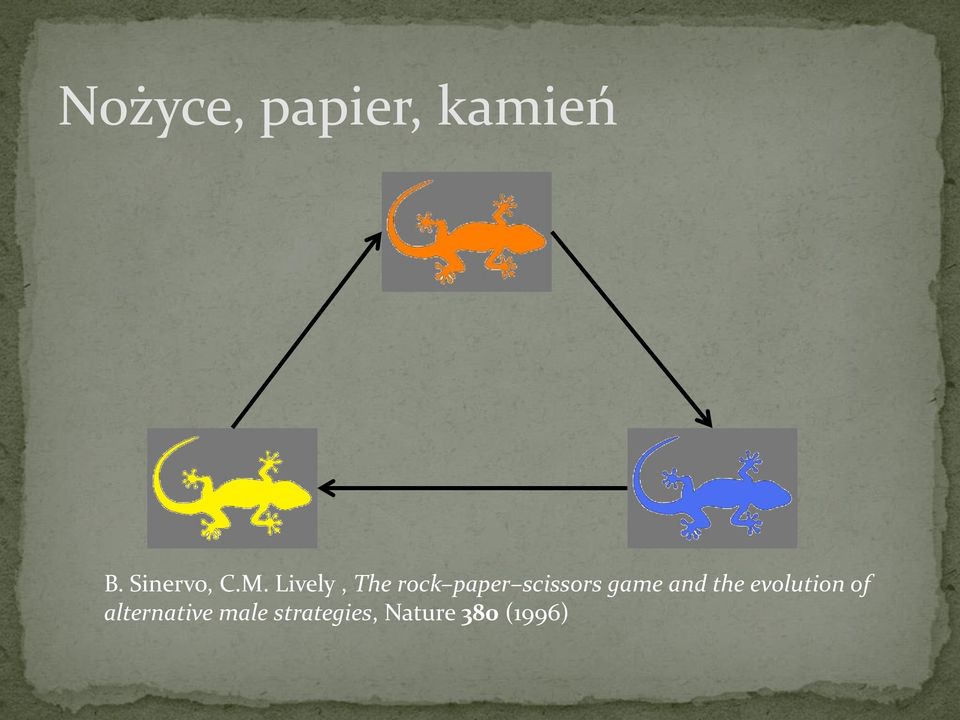 Lively, The rock paper scissors