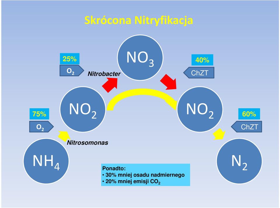 ChZT Nitrosomonas NH 4 Ponadto: 30%