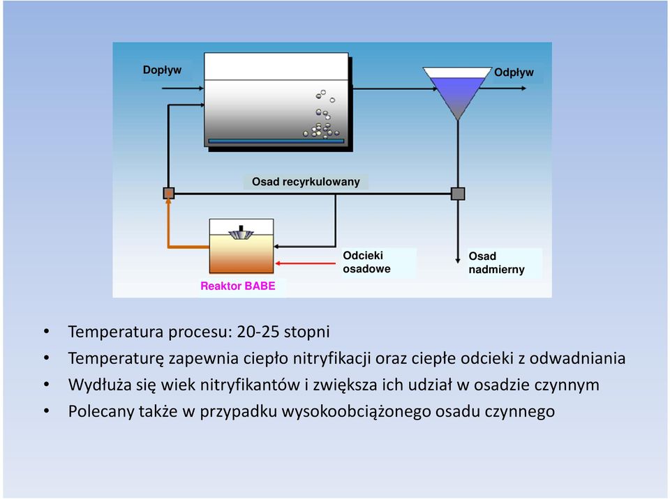 oraz ciepłe odcieki z odwadniania Wydłuża się wiek nitryfikantów i zwiększa