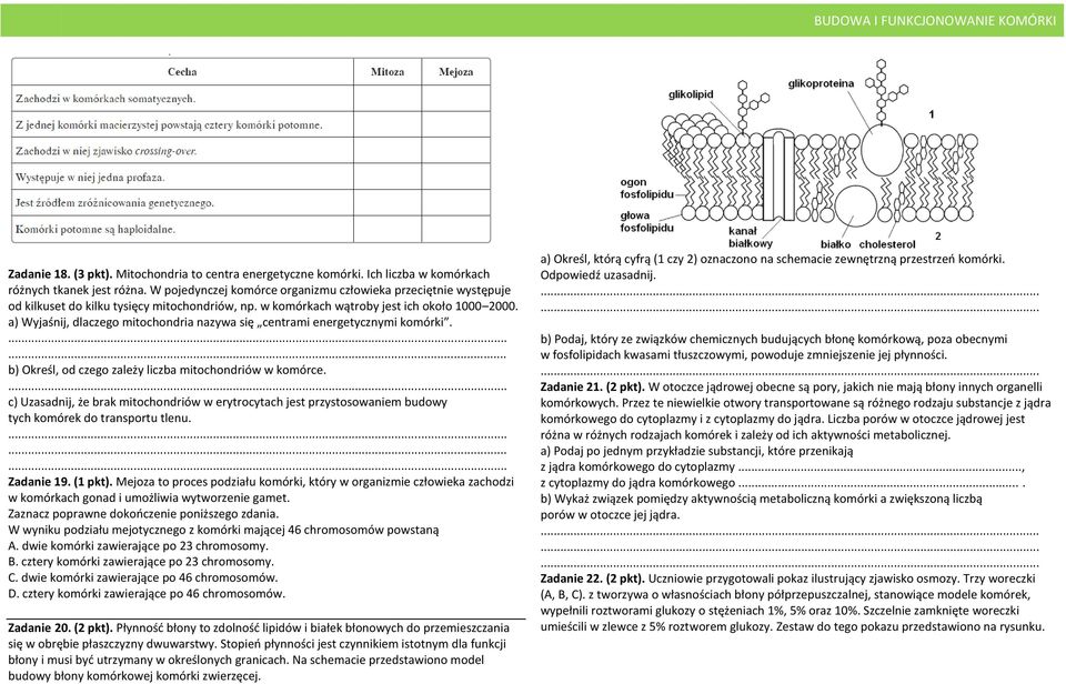 a) Wyjaśnij, dlaczego mitochondria nazywa się centrami energetycznymi komórki... b) Określ, od czego zależy liczba mitochondriów w komórce.