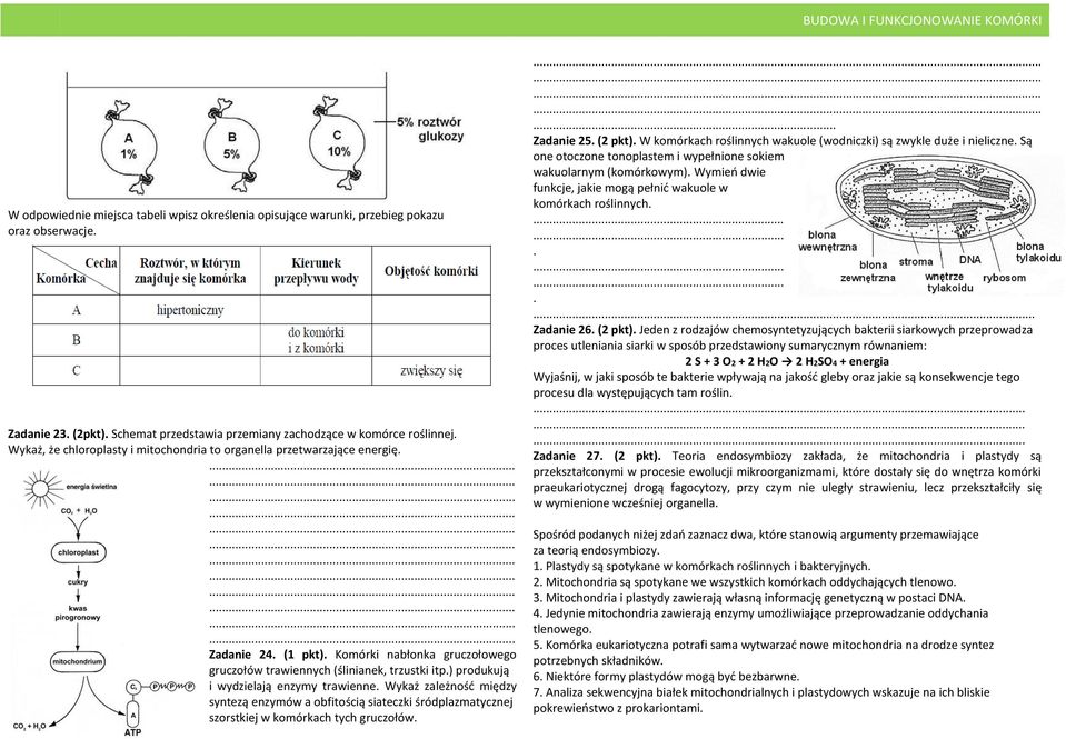 ) produkują i wydzielają enzymy trawienne. Wykaż zależność między syntezą enzymów a obfitością siateczki śródplazmatycznej szorstkiej w komórkach tych gruczołów................ Zadanie 25. (2 pkt).