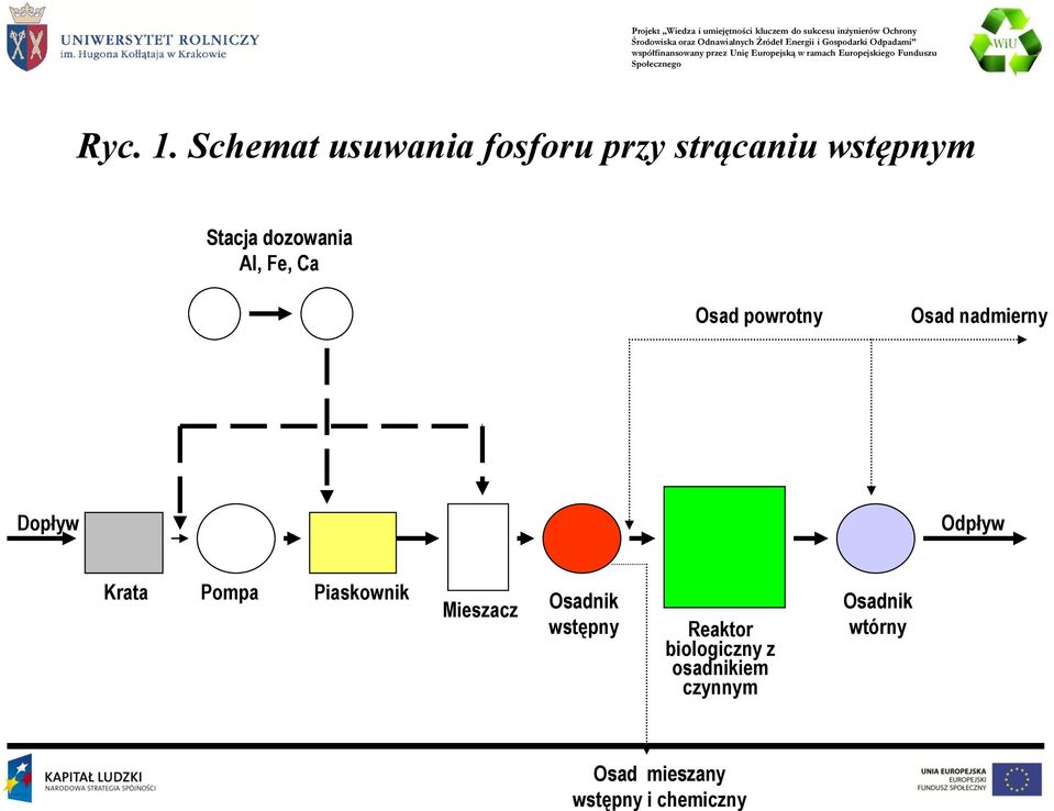 Al, Fe, Ca Osad powrotny Osad nadmierny Dopływ Odpływ Krata Pompa