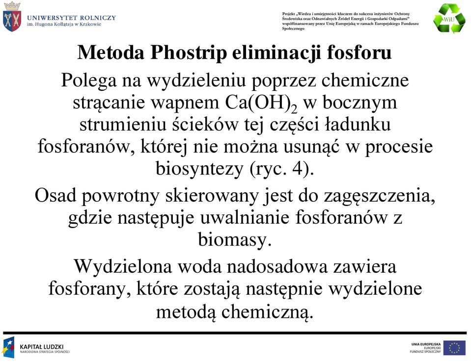biosyntezy (ryc. 4).
