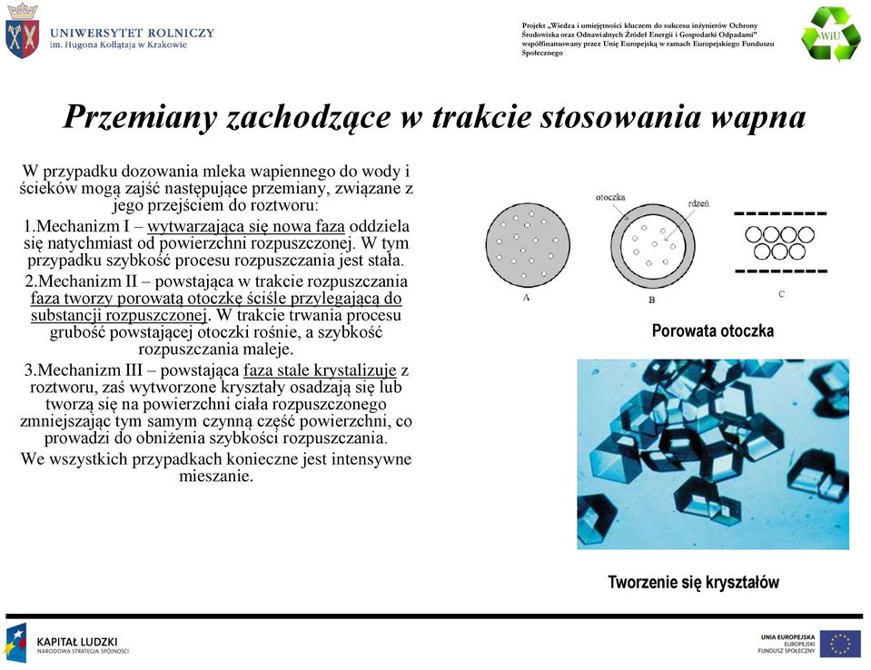 Mechanizm II powstająca w trakcie rozpuszczania faza tworzy porowatą otoczkę ściśle przylegającą do substancji rozpuszczonej.