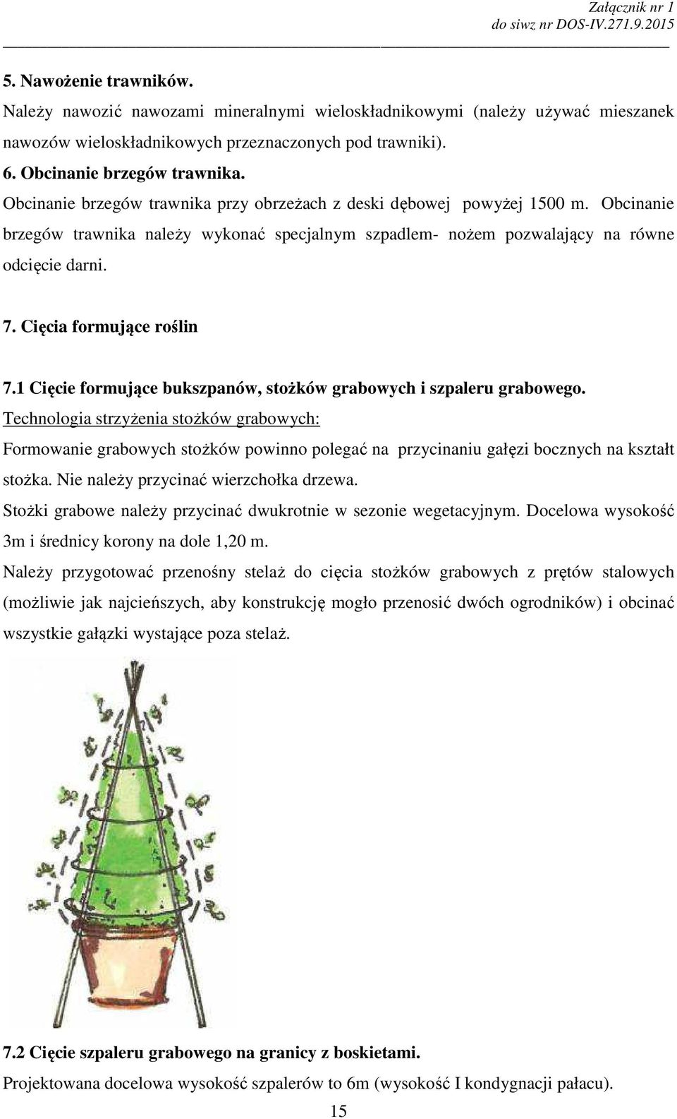 Cięcia formujące roślin 7.1 Cięcie formujące bukszpanów, stożków grabowych i szpaleru grabowego.