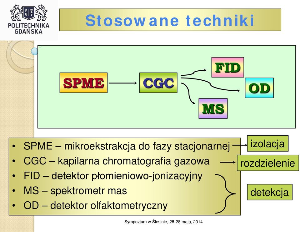 chromatografia gazowa FID detektor