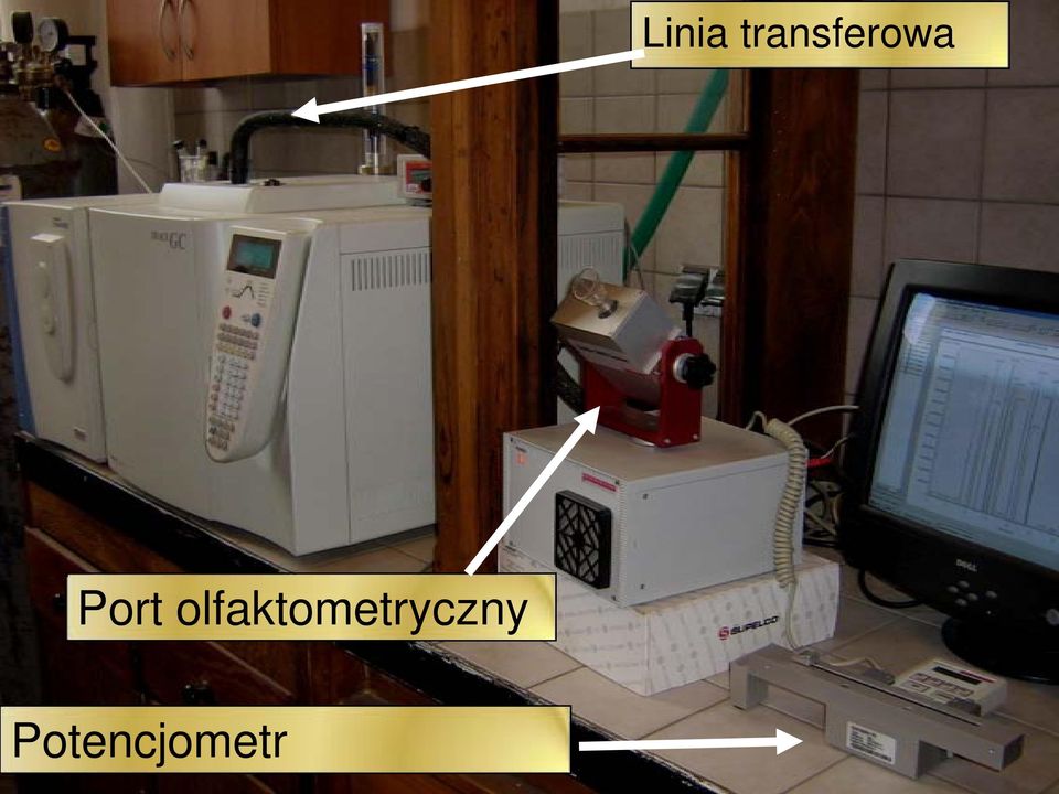Potencjometr