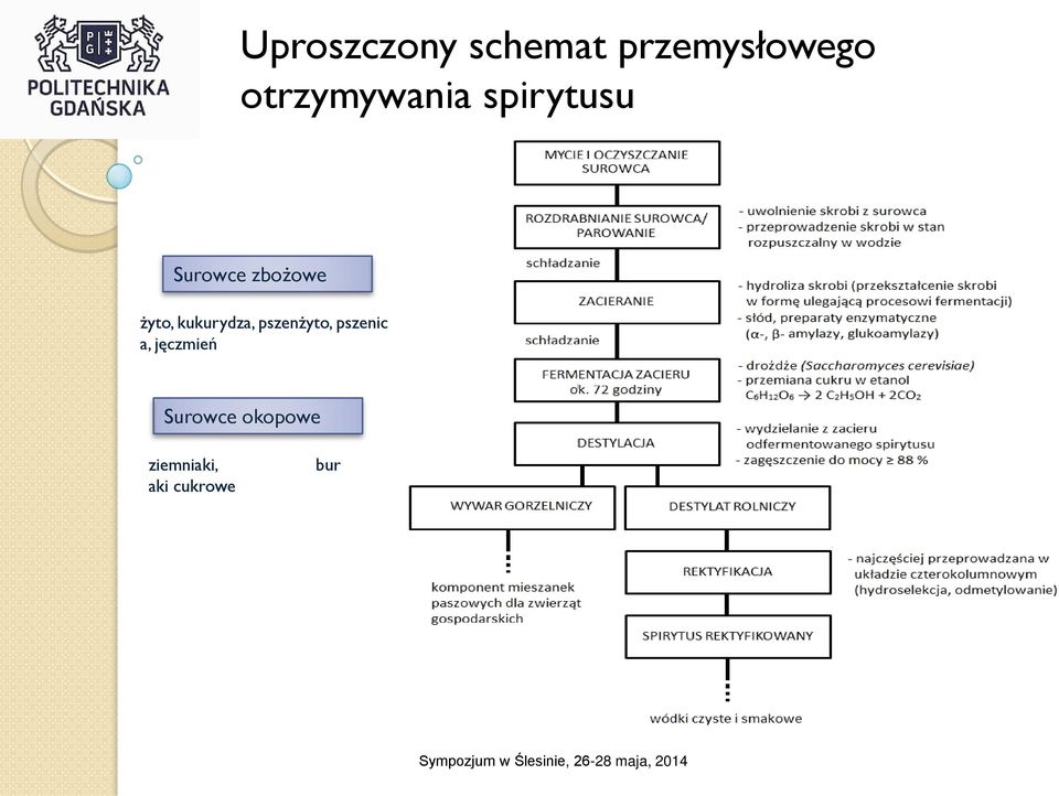żyto, kukurydza, pszenżyto, pszenic a,