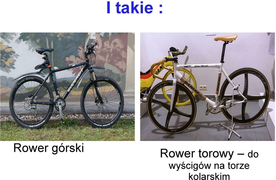 torowy do