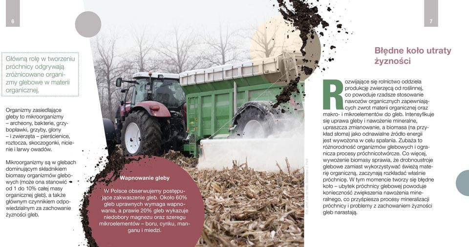 Mikroorganizmy są w glebach dominującym składnikiem biomasy organizmów glebowych (może ona stanowić od 1 do 10% całej masy organicznej gleb), a także głównym czynnikiem odpowiedzialnym za zachowanie