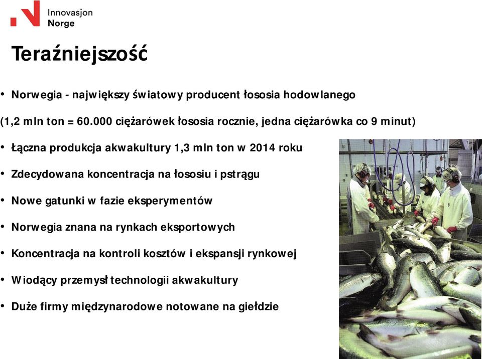Zdecydowana koncentracja na ososiu i pstr gu Nowe gatunki w fazie eksperymentów Norwegia znana na rynkach