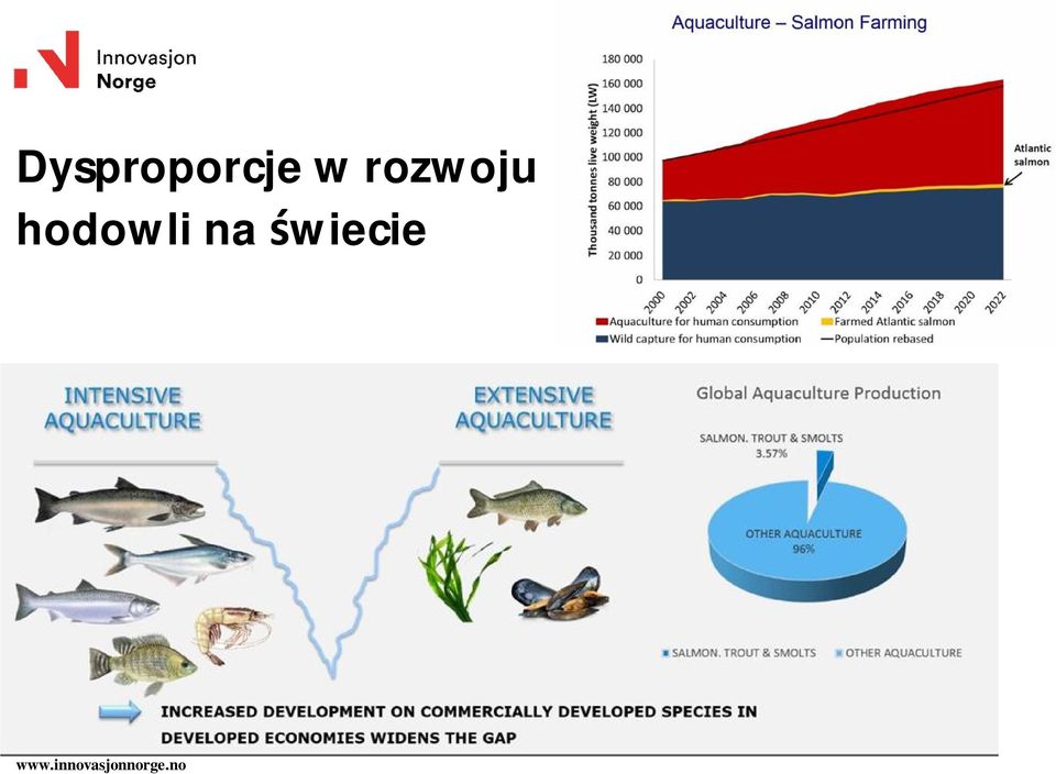 na wiecie www.