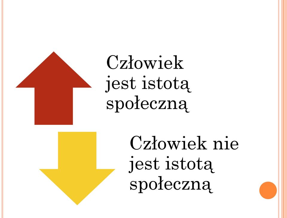 Człowiek nie