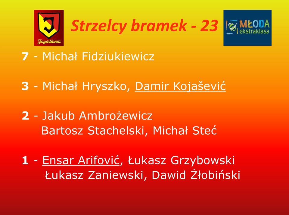 Ambrożewicz Bartosz Stachelski, Michał Steć 1 -