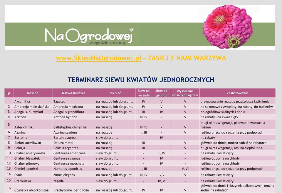 do IV V V na sezonowe żywopłoty, na rabaty, do bukietów 3 Anagalis, Kurzyślad Anagallis grandiflora na lub do III IV V do ogródków skalnych i donic 4 Arktotis Arctotis hybrida na III, IV - V na