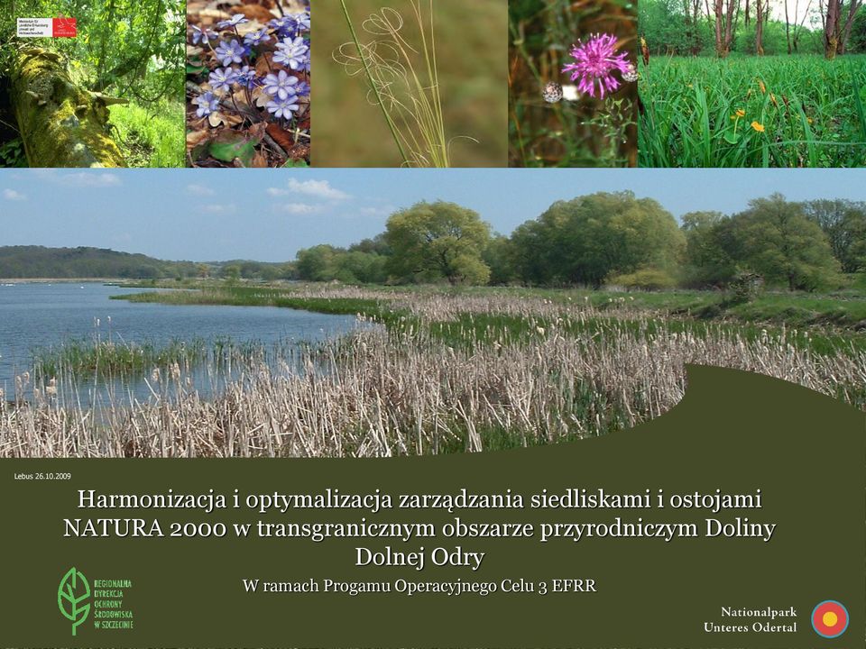 siedliskami i ostojami NATURA 2000 w