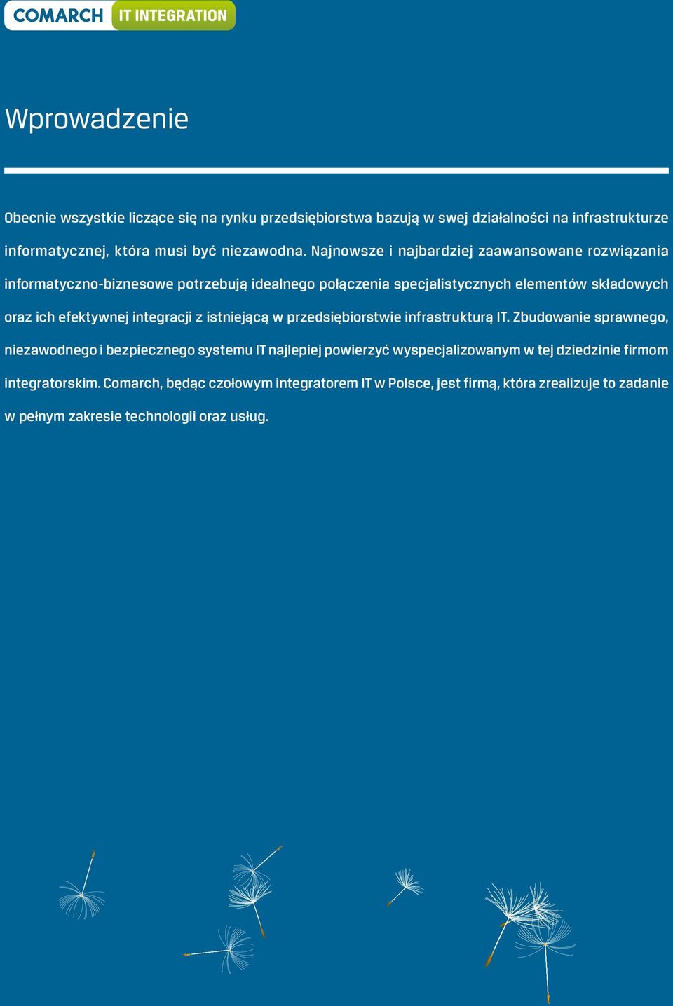 integracji z istniejącą w przedsiębiorstwie infrastrukturą IT.
