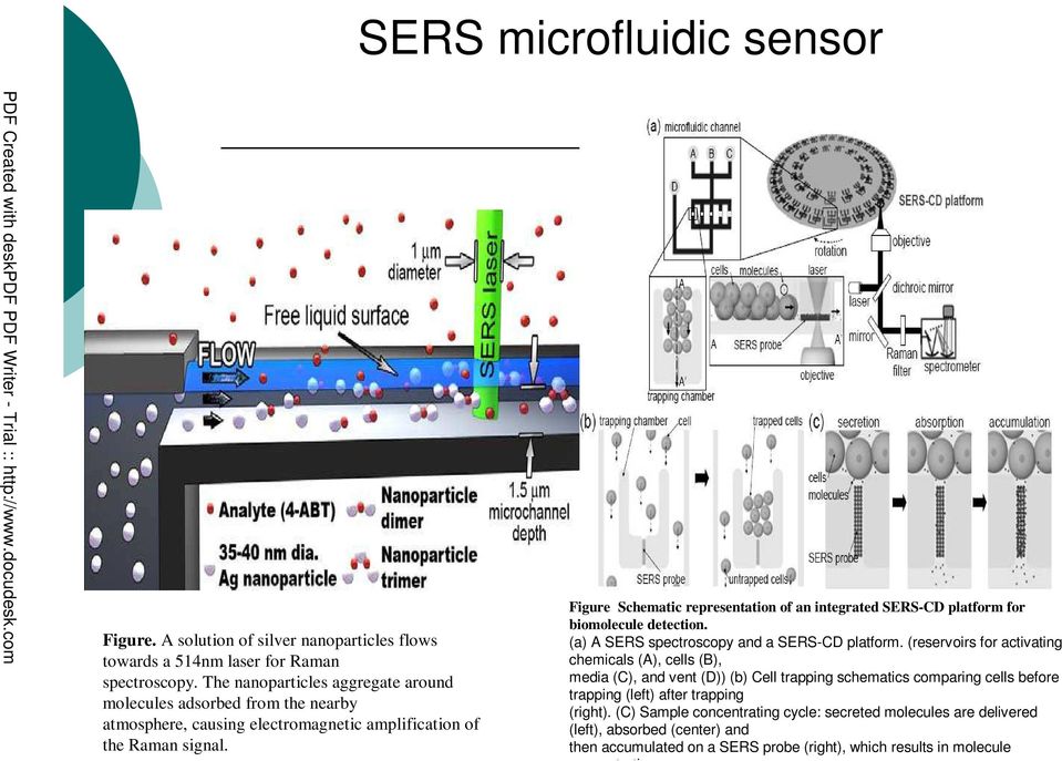 Figure Schematic representation of an integrated SERS-CD platform for biomolecule detection. (a) A SERS spectroscopy and a SERS-CD platform.