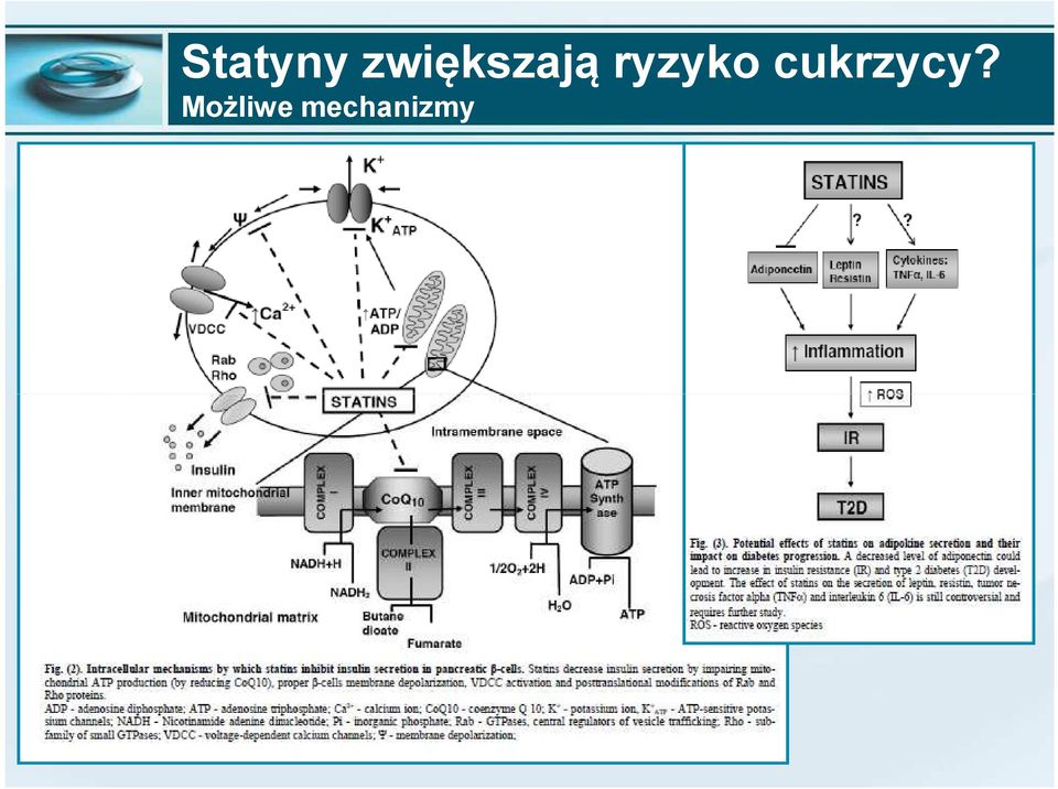 ryzyko