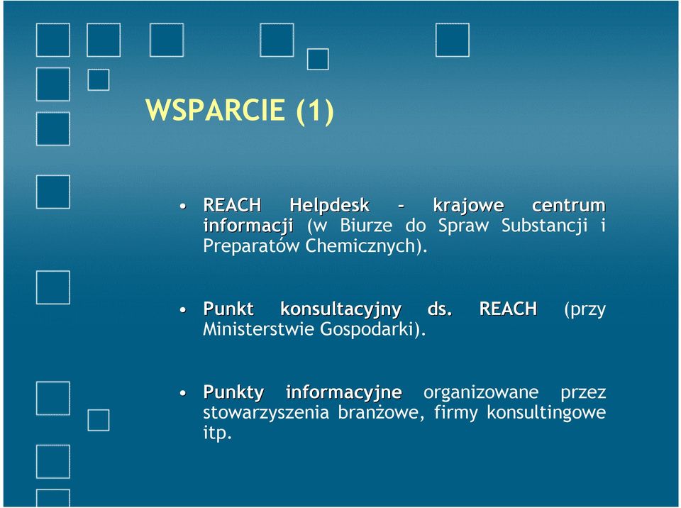 Punkt konsultacyjny ds. REACH (przy Ministerstwie Gospodarki).