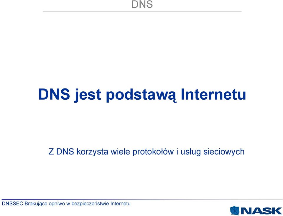 DNS korzysta wiele