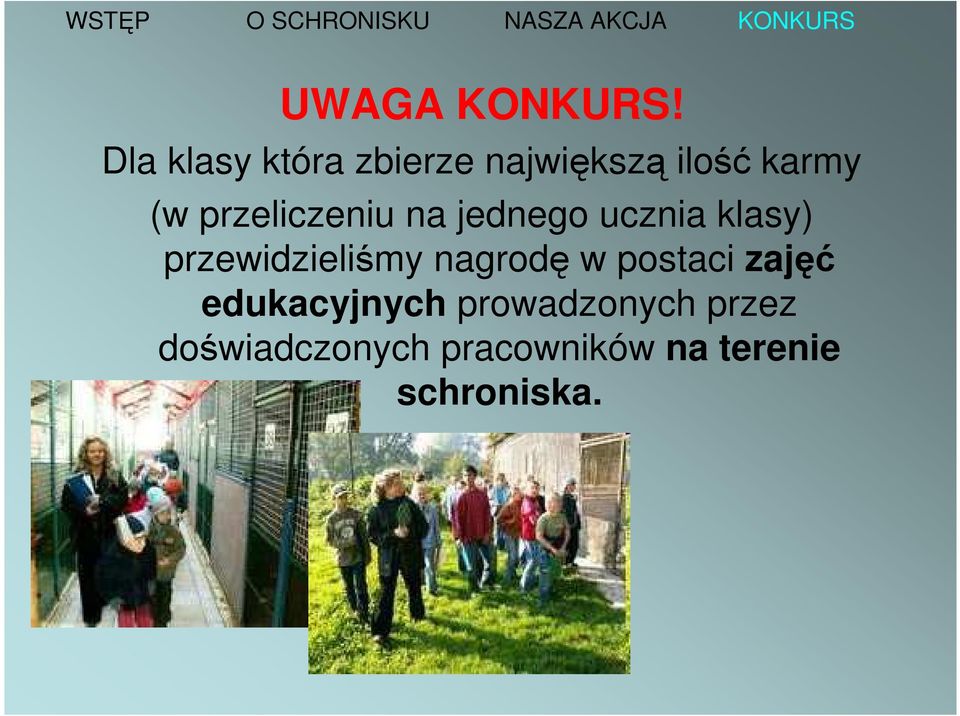 przeliczeniu na jednego ucznia klasy) przewidzieliśmy