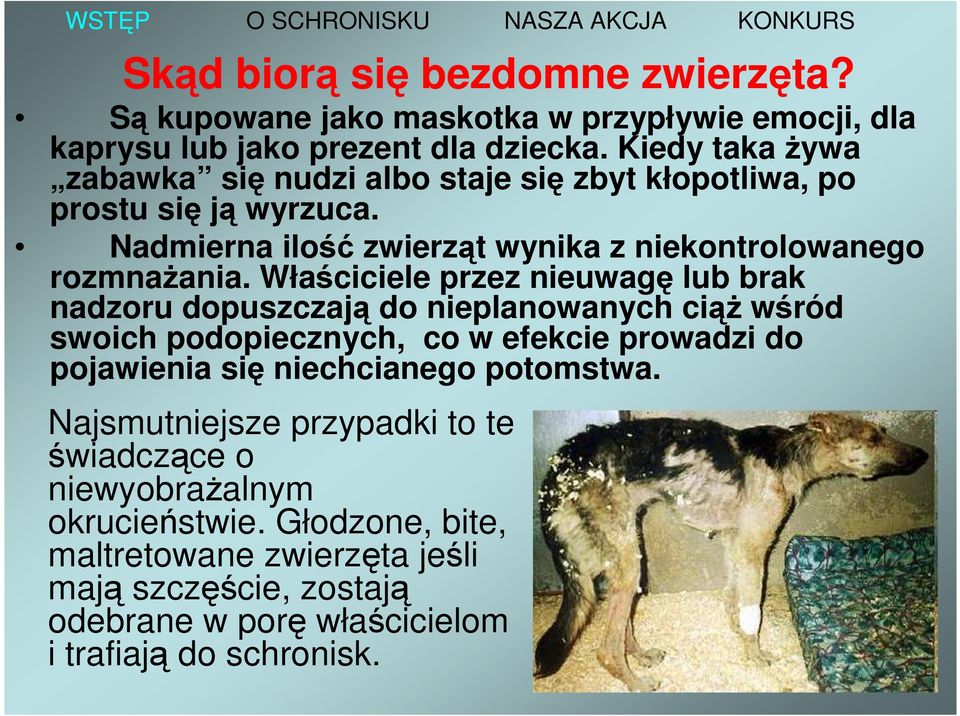 Właściciele przez nieuwagę lub brak nadzoru dopuszczają do nieplanowanych ciąż wśród swoich podopiecznych, co w efekcie prowadzi do pojawienia się niechcianego