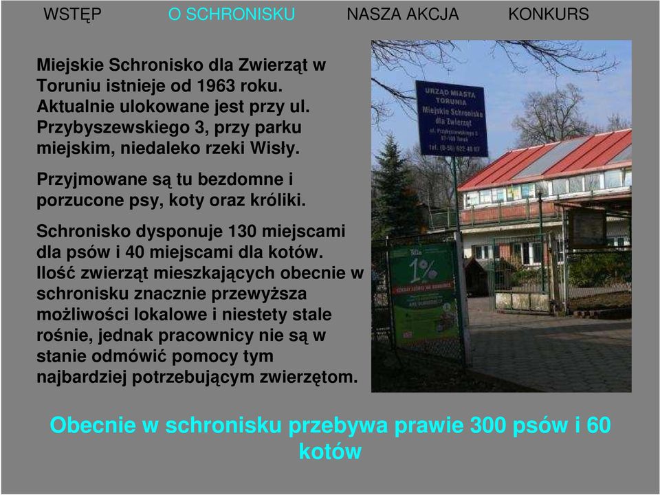 Schronisko dysponuje 130 miejscami dla psów i 40 miejscami dla kotów.