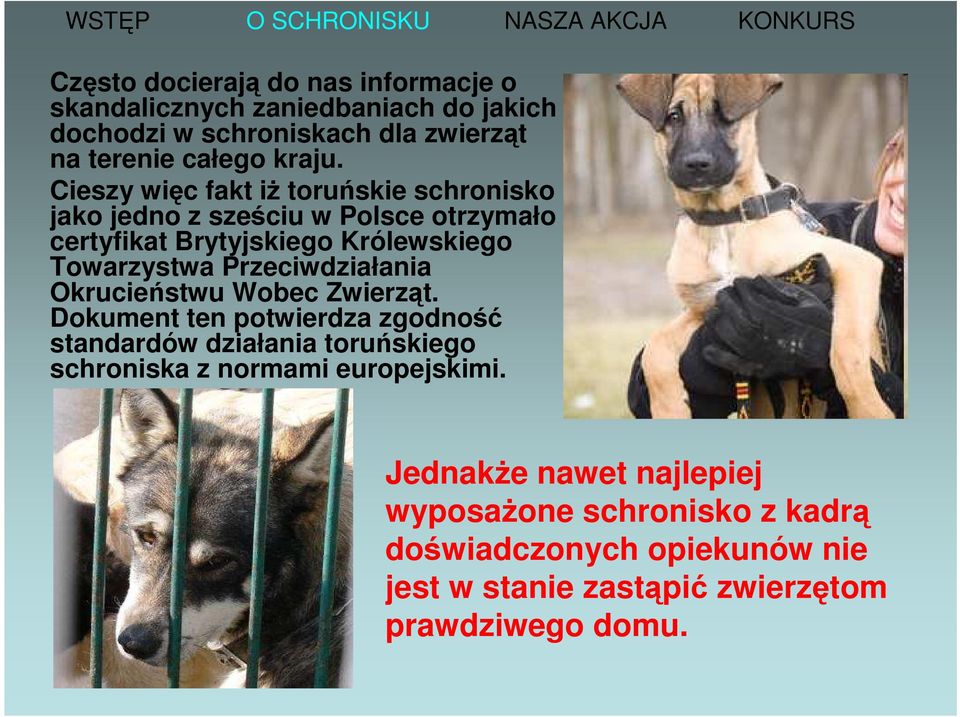 Przeciwdziałania Okrucieństwu Wobec Zwierząt.