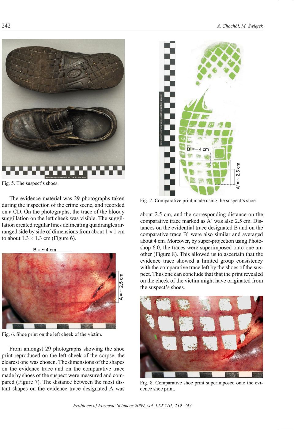 The suggil - lation cre ated reg u lar lines de lin eat ing quad ran gles ar - ranged side by side of di men sions from about 1 1 cm to about 1.3 1.3 cm (Fig ure 6). Fig. 7.