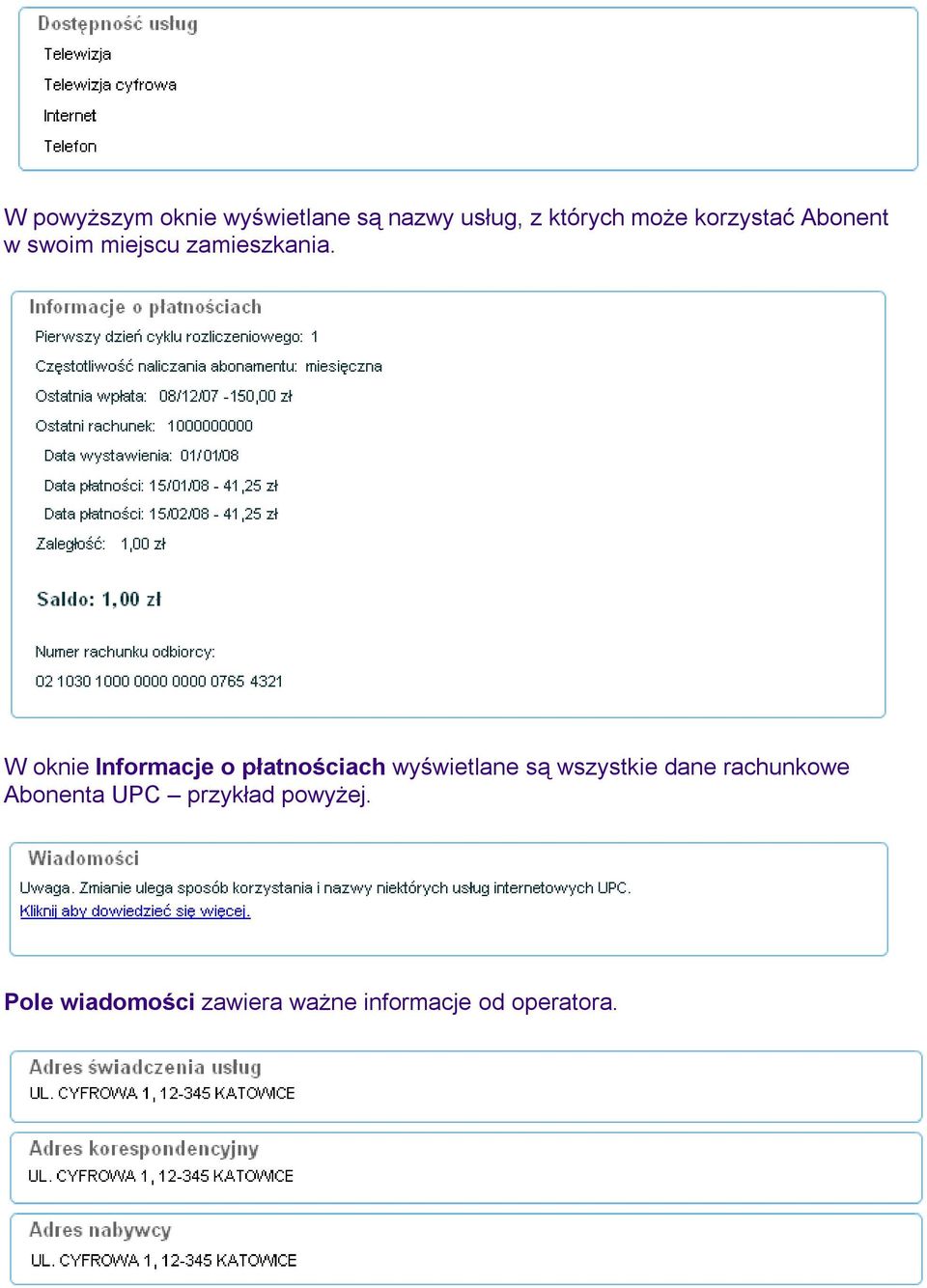 W oknie Informacje o płatnościach wyświetlane są wszystkie dane