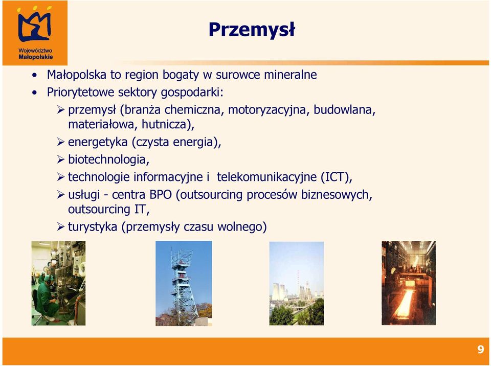 (czysta energia), biotechnologia, technologie informacyjne i telekomunikacyjne (ICT), usługi