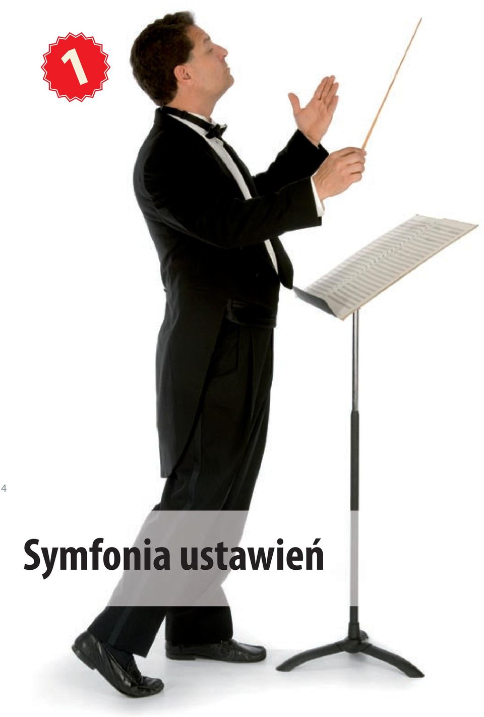 ustawień