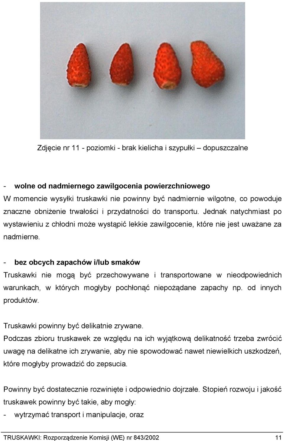 - bez obcych zapachów i/lub smaków Truskawki nie mogą być przechowywane i transportowane w nieodpowiednich warunkach, w których mogłyby pochłonąć niepożądane zapachy np. od innych produktów.