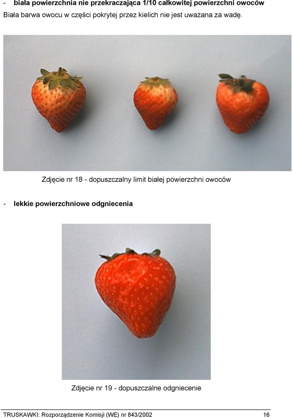 Zdjęcie nr 18 - dopuszczalny limit białej powierzchni owoców - lekkie powierzchniowe