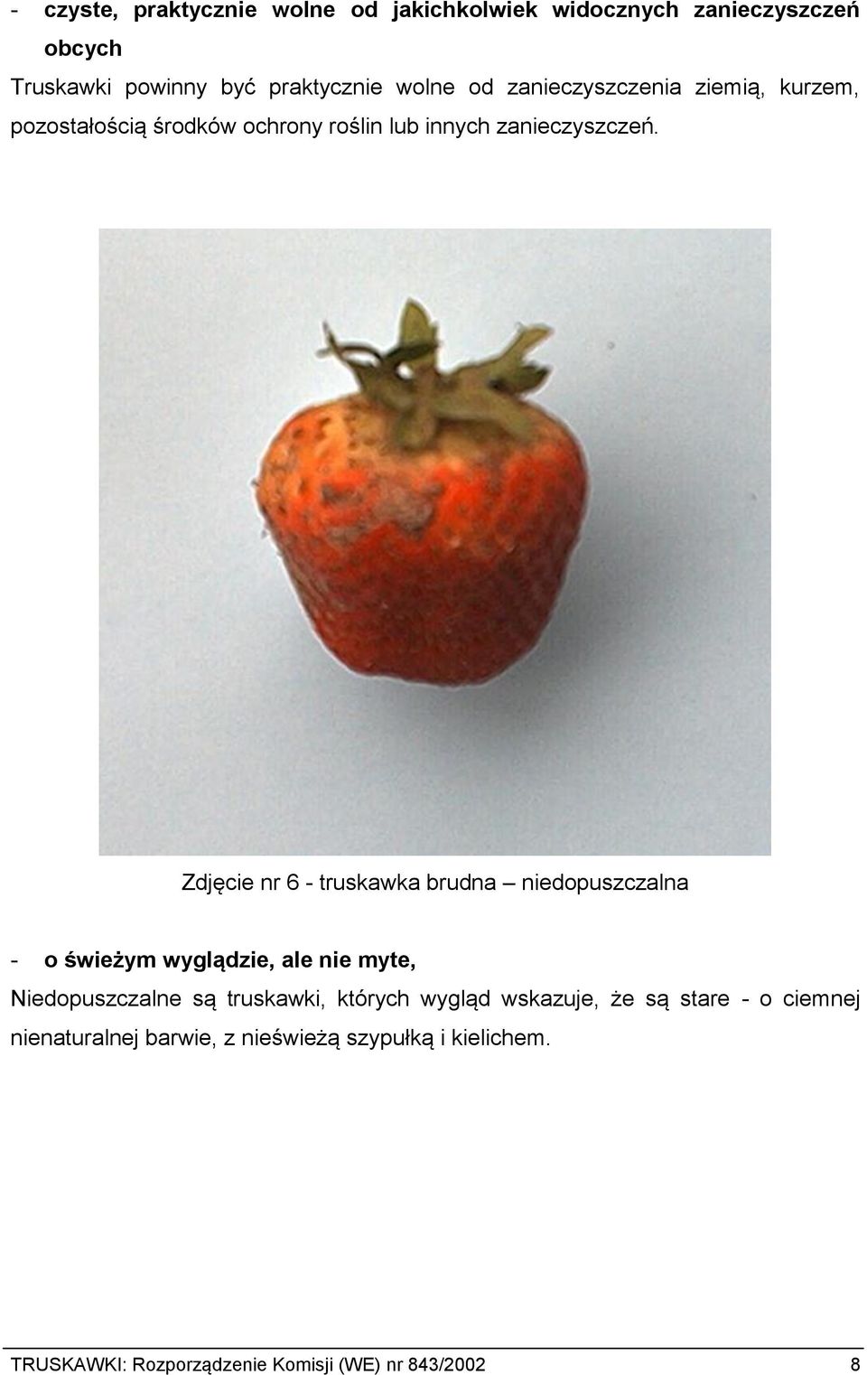 Zdjęcie nr 6 - truskawka brudna niedopuszczalna - o świeżym wyglądzie, ale nie myte, Niedopuszczalne są truskawki, których