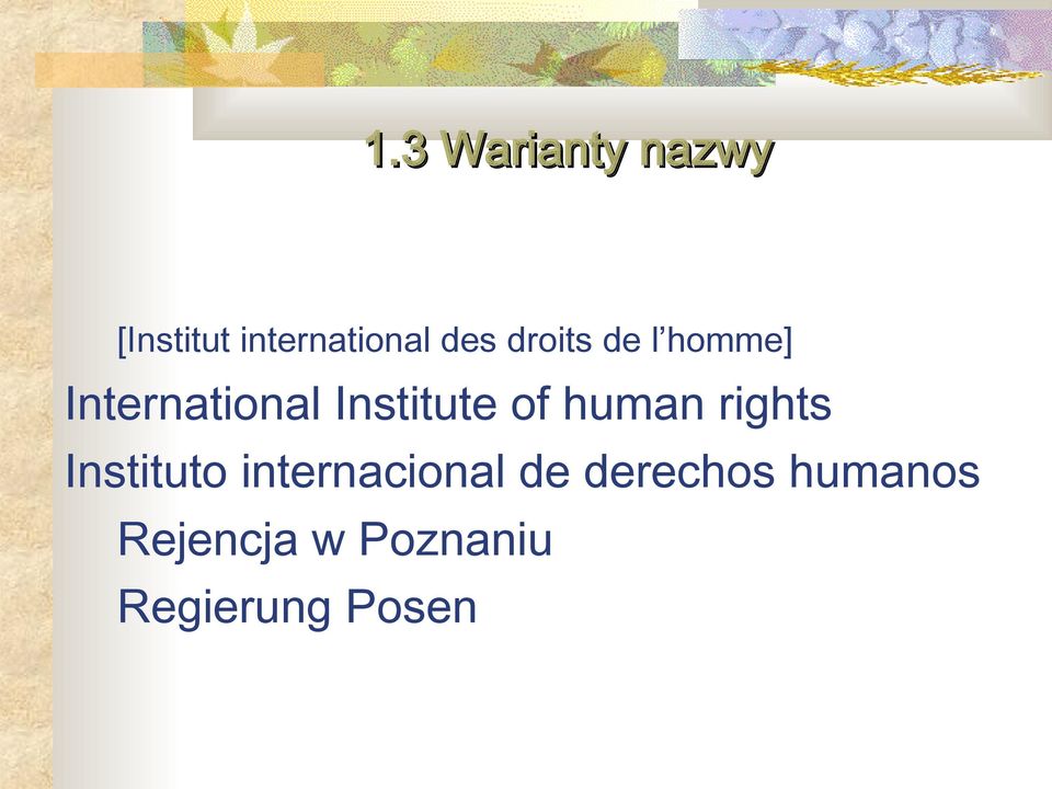 human rights Instituto internacional de