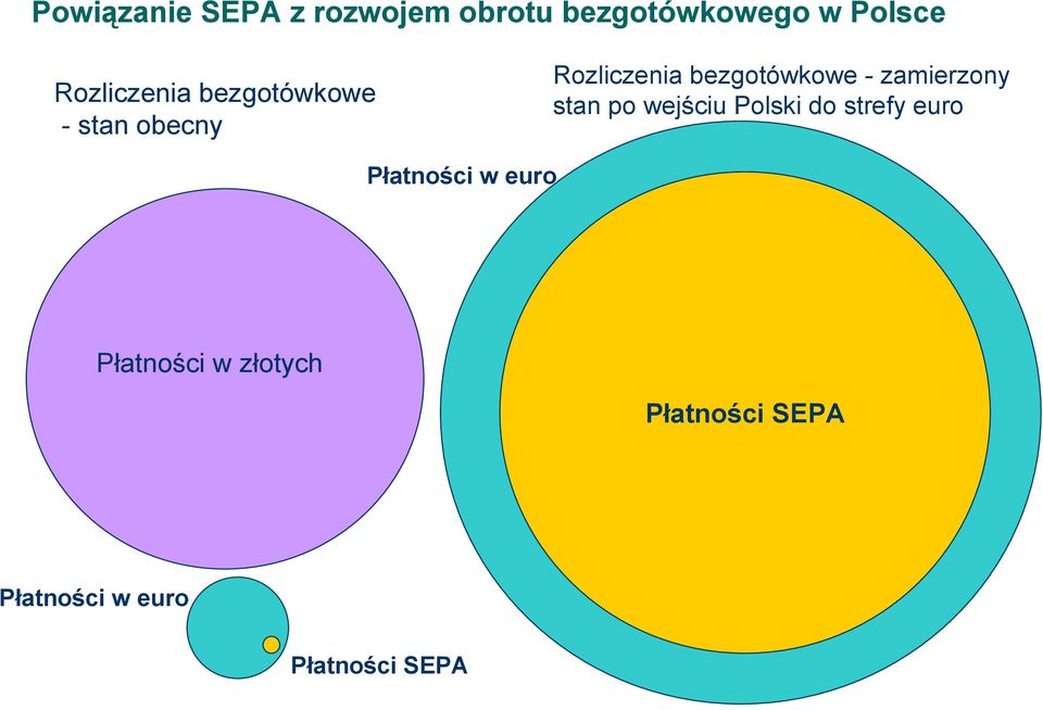 - zamierzony stan po wejściu Polski do strefy euro Płatności w