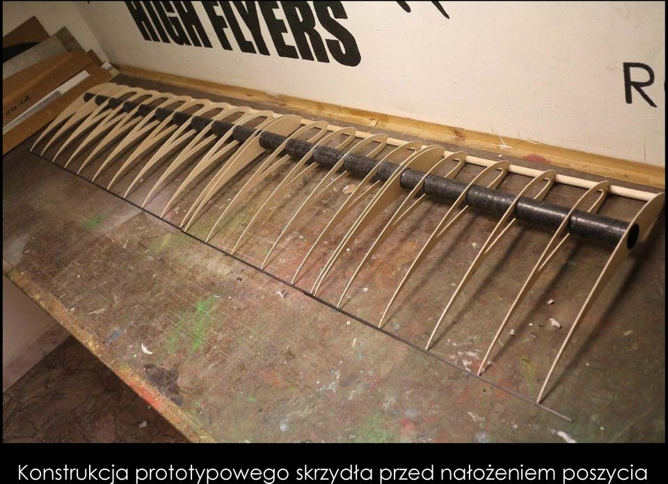 skrzydła przed
